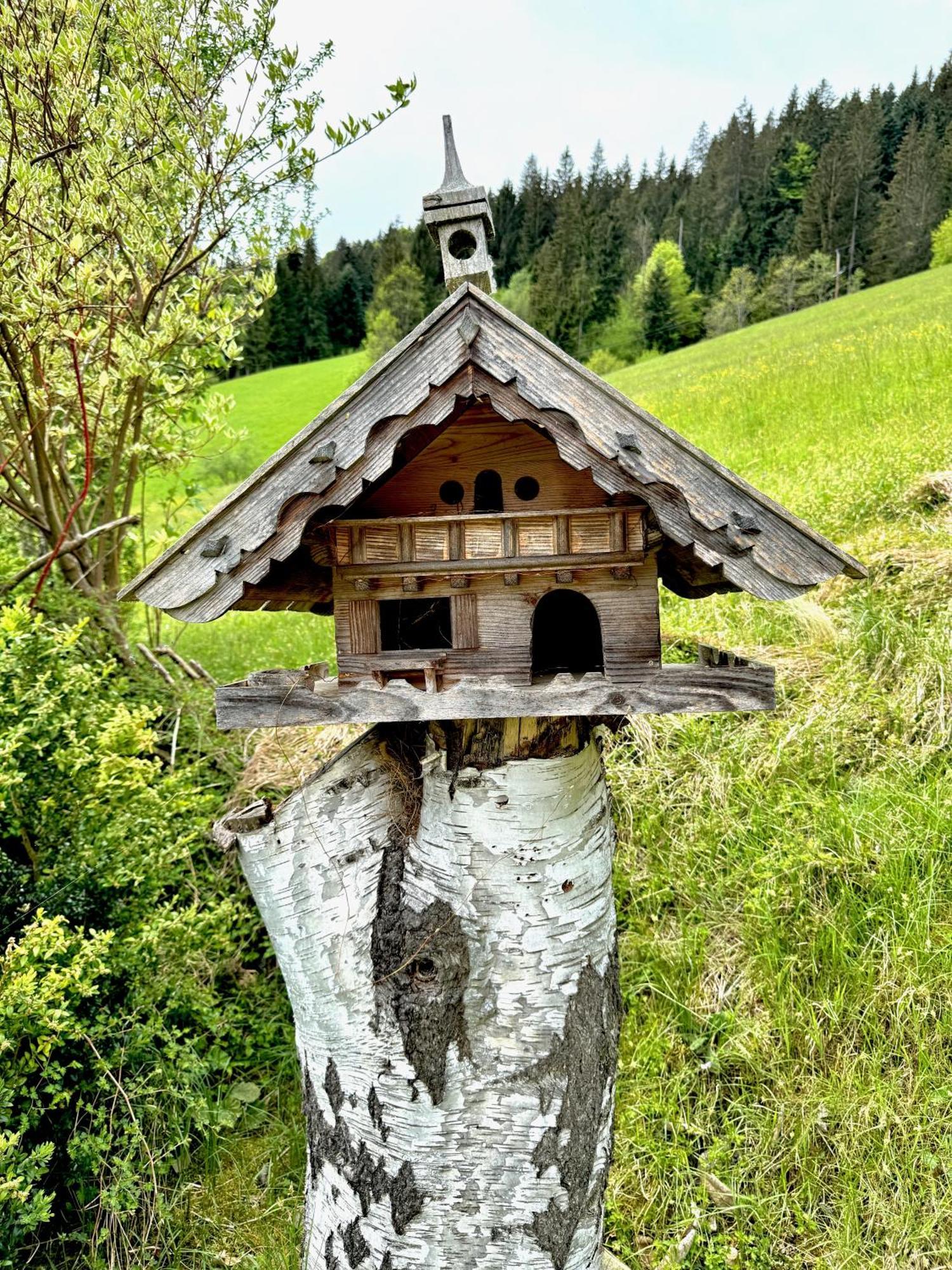 5* Panorama Chalet Mit Sauna By Belle Stay Going am Wilden Kaiser Exteriér fotografie